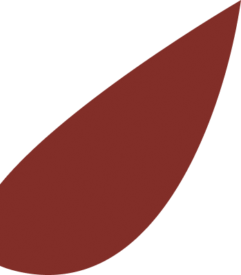 sharkfin studios
